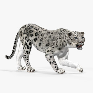 snow leopard rigged 3D model