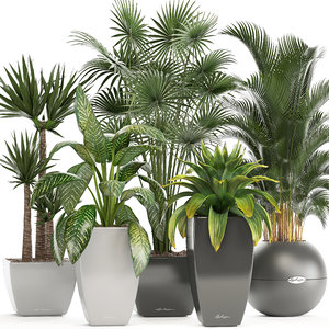 plants pots model