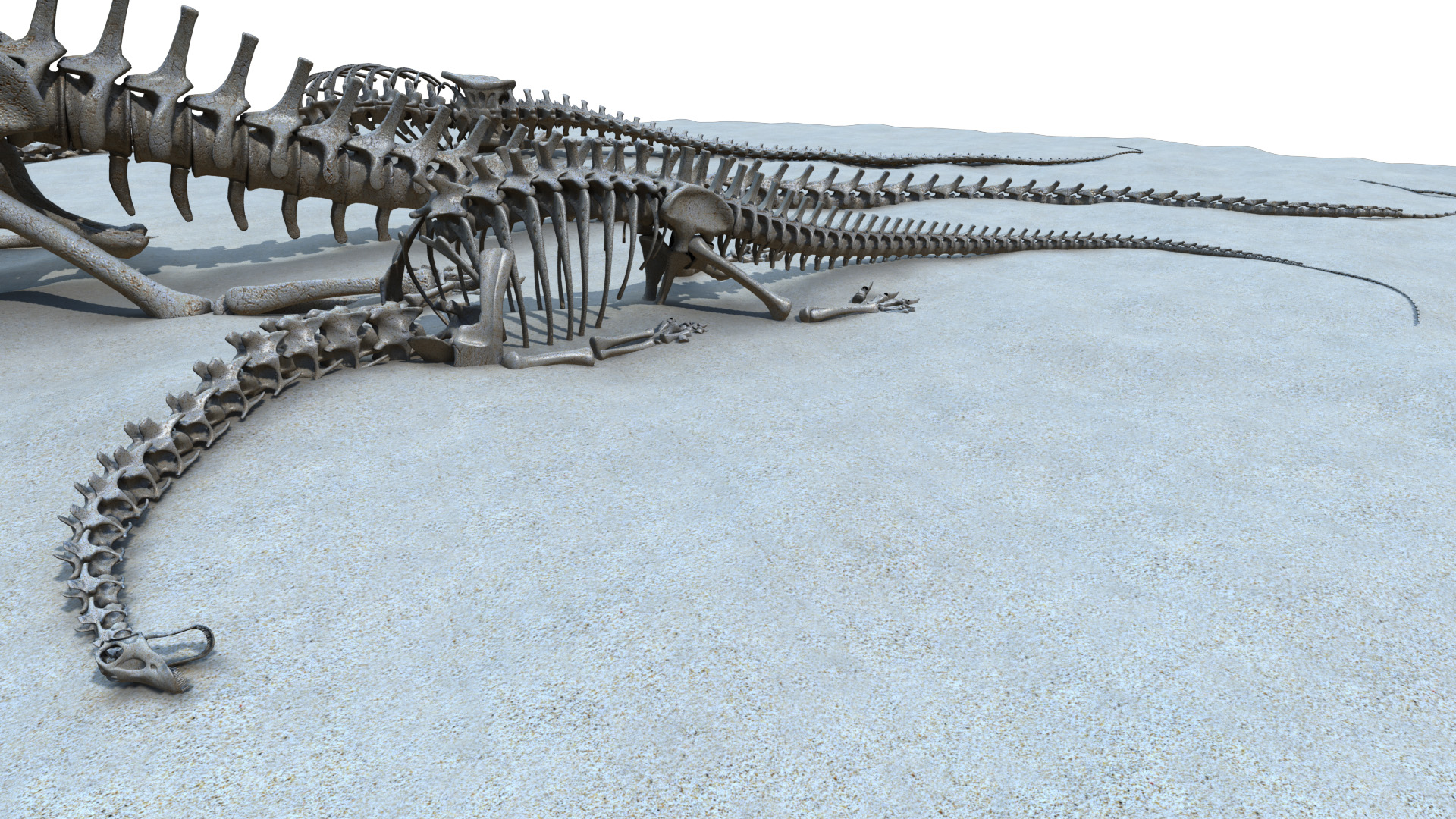 diplodocus bones