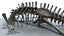 diplodocus skeleton model