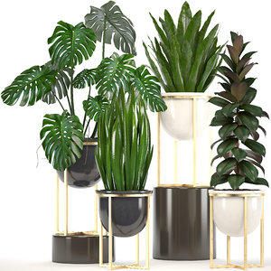 3D plants pots model