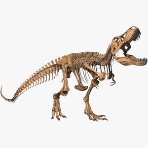 3D rex skeleton t