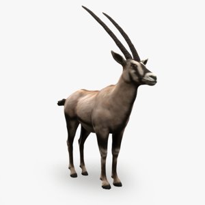 oryx antelope 3D model