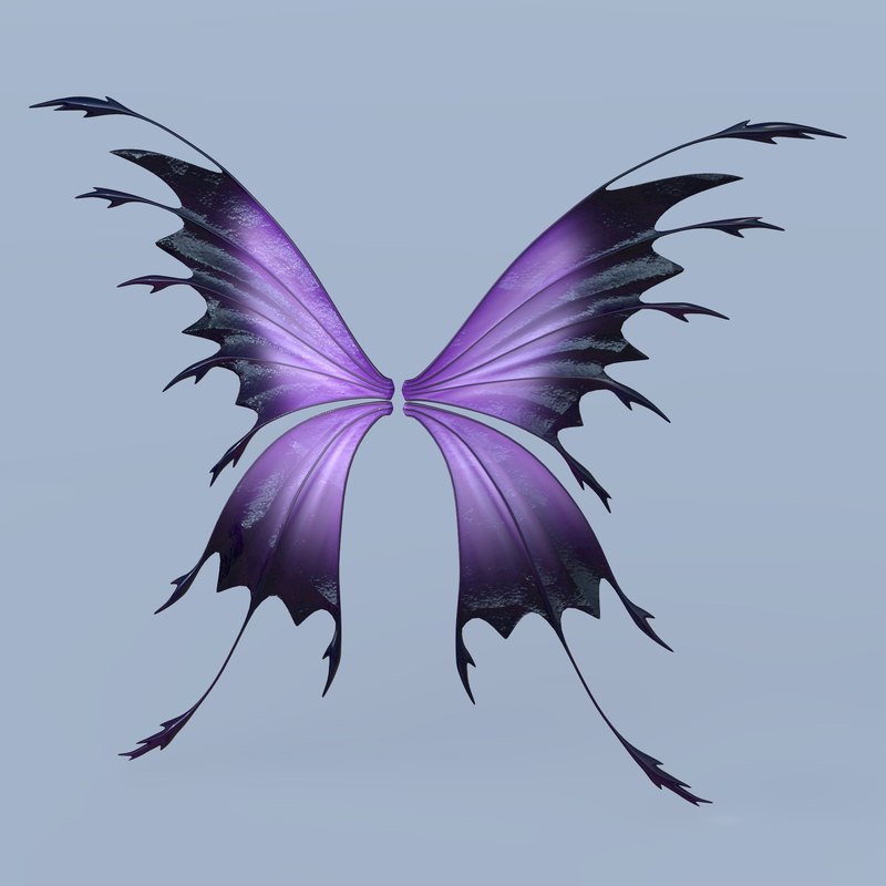 3D set fairy butterfly wings 