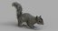 3D squirrel rigged fur 2