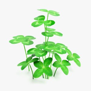 3D clover plant 4