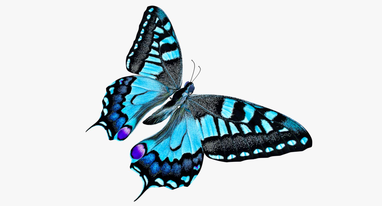 3D butterfly blue - TurboSquid 1300659