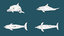 3D fish - ready pack 2
