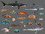 3D fish - ready pack 2