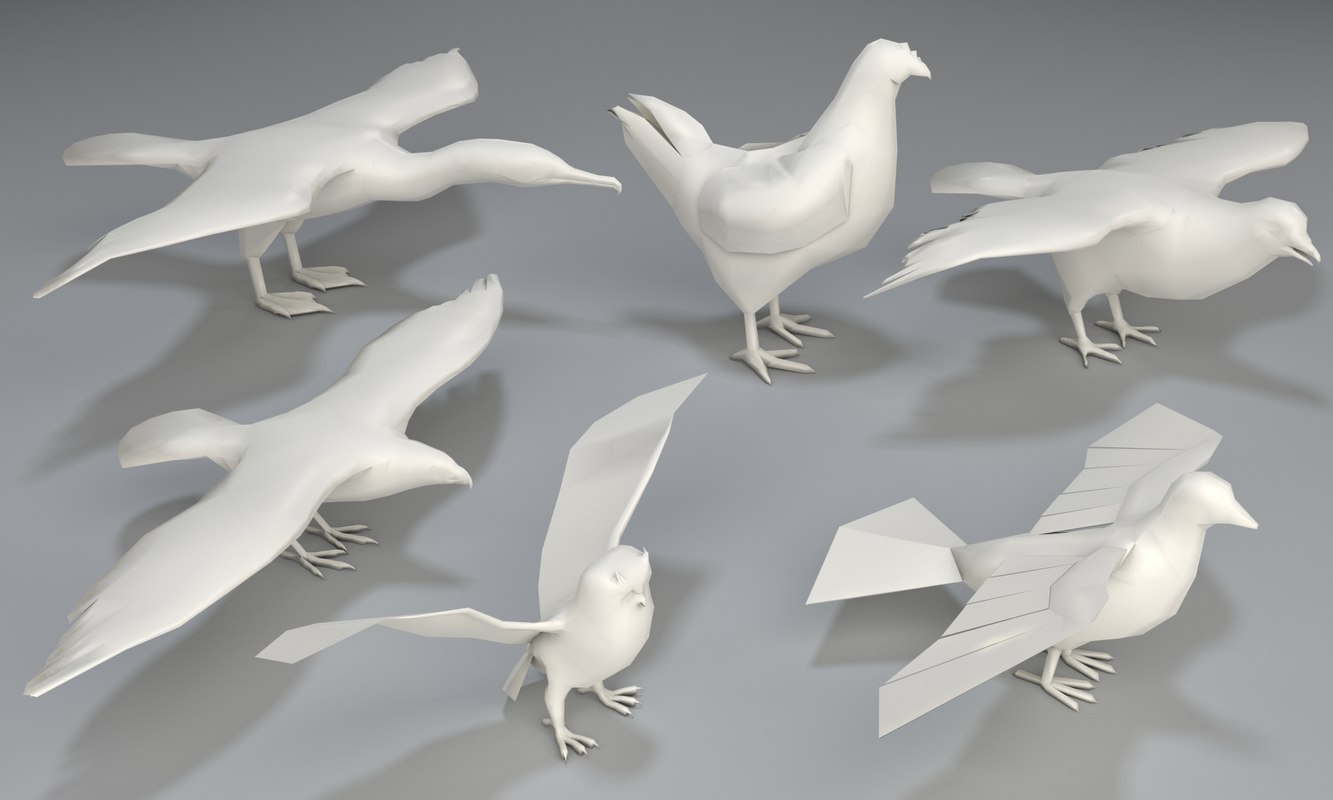 bird wing 3d model bird wing 3d model