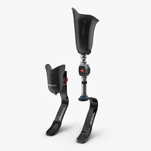 knee fitness prosthetics set 3D model