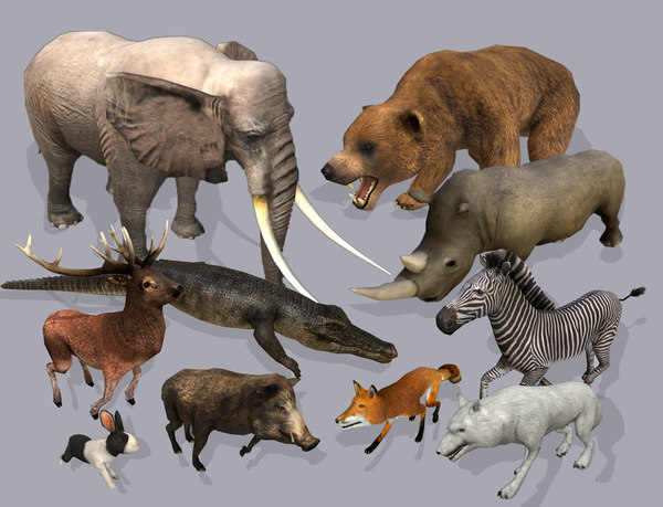 africa - animation 3d model