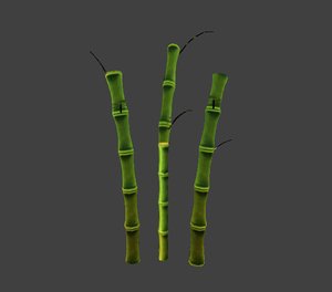 bamboo bambu 3D model