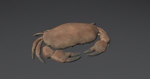 3D realistic crab