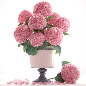 bouquet pink hydrangea 3D model