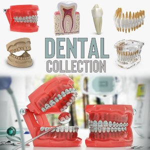 3D model dental 2
