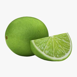 realistic small lime 04 3D model