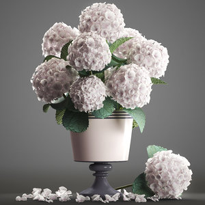 3D bouquet white hydrangea model