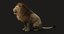 3D lion rigged fur model