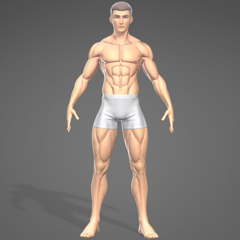 3d Male Stylistic Base Body Muscle Model Turbosquid 1302362 Hot Sex Picture