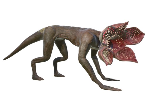 demogorgon dog toy