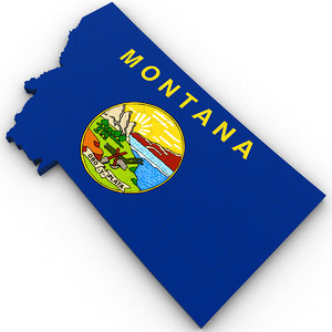 political montana 3D model