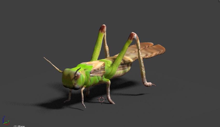 Grasshopper hopper grass model - TurboSquid 1302538