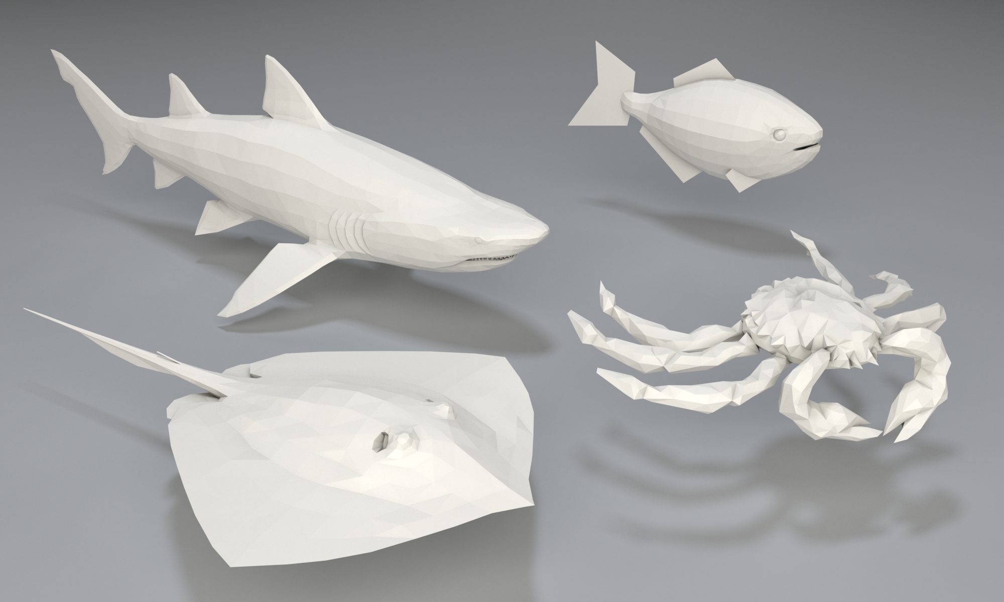 3D model 4 sea animals TurboSquid 1303104