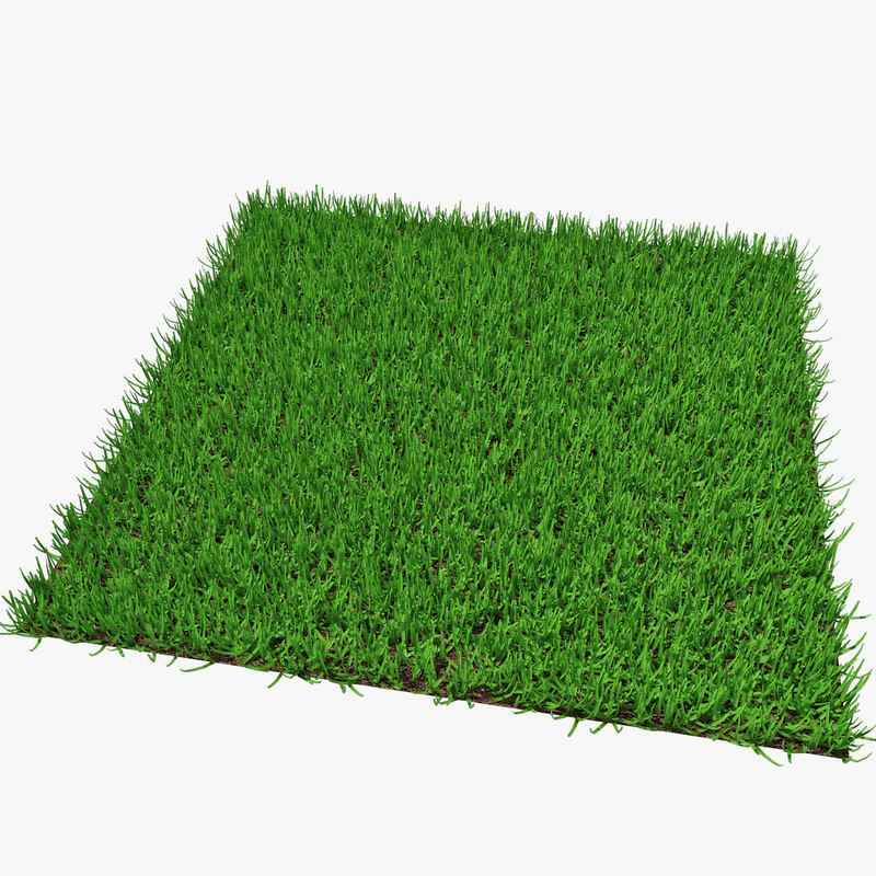 Grass 3D model - TurboSquid 1303171