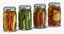 3D pickling jars model