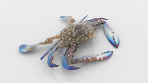 crab 3D model