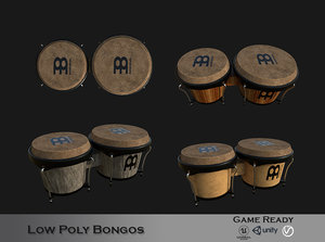 bongo 3D model
