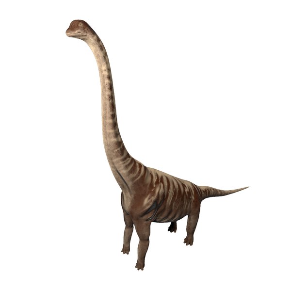 diplodocus 3d models