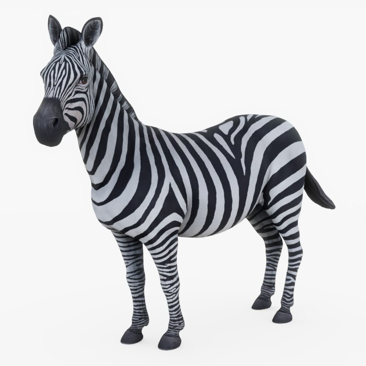 3D zebra rig - TurboSquid 1303676