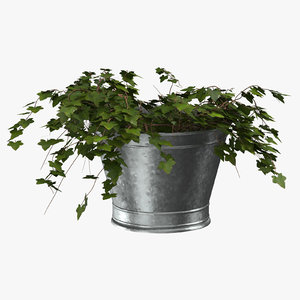 3D bucket ivy model