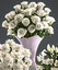 bouquet flowers vase white model
