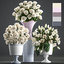 bouquet flowers vase white model