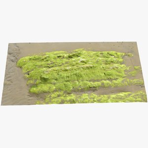 3D seaweed rock
