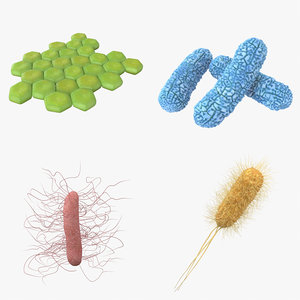 bacteria pack model