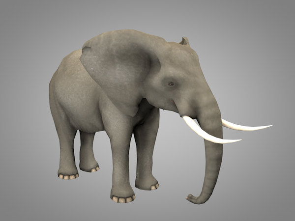 modèle 3d de l éléphant turbosquid 1304333