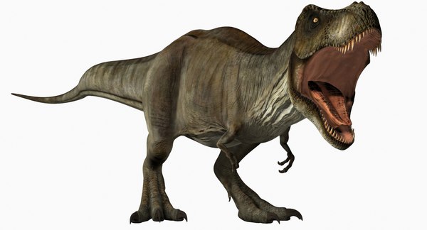 Tyrannosaurus Rex Model 3d Turbosquid 1304868