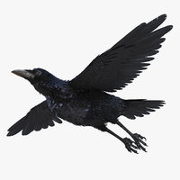 Raven 3d Models For Download Turbosquid - common raven rigged 3d model