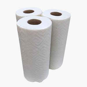 paper towel rolls 3D