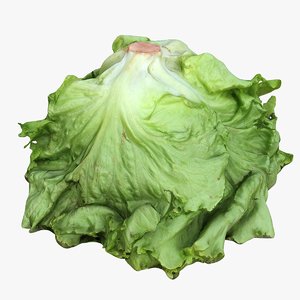salad head 3D model