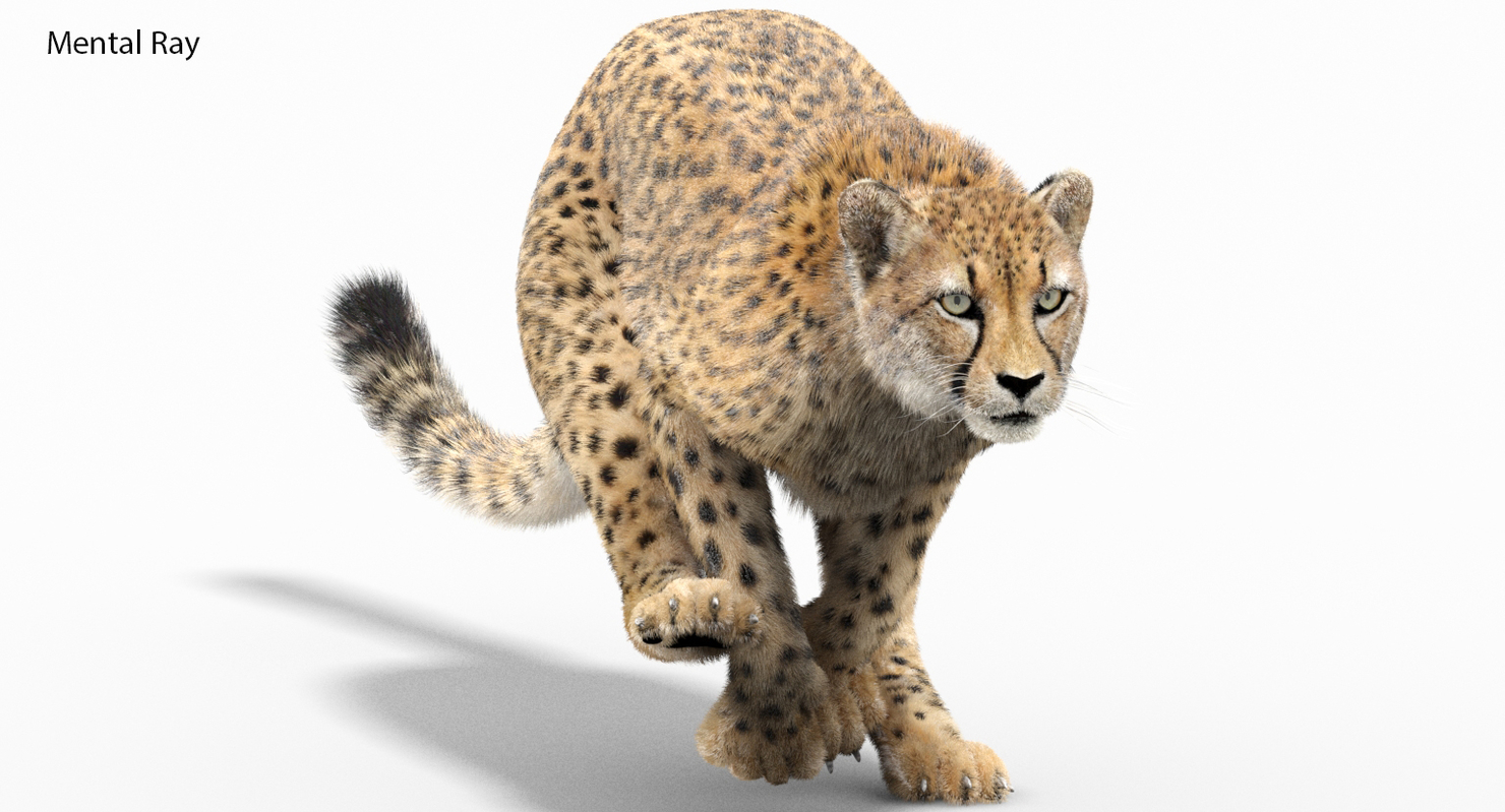 cheetah3d zoom to selection cheetah3d zoom to selection