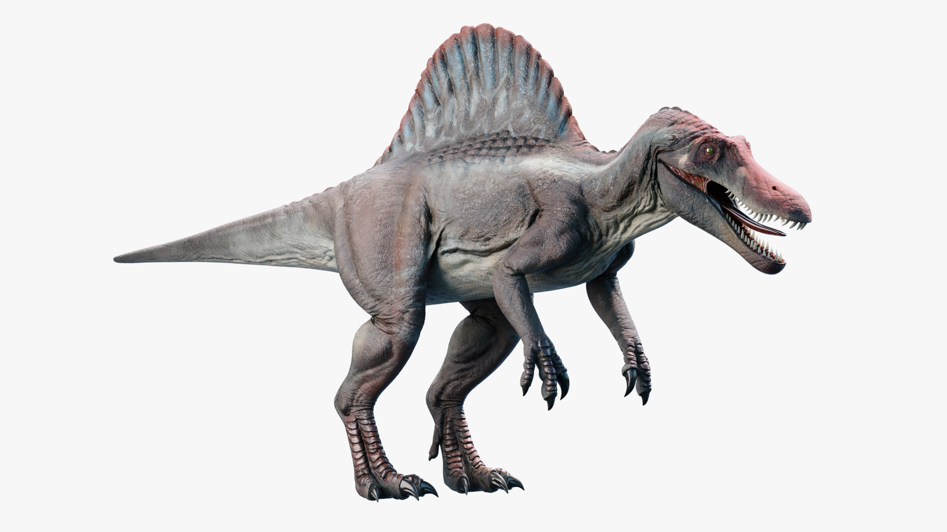 spinosaurus rigged animation 3d model
