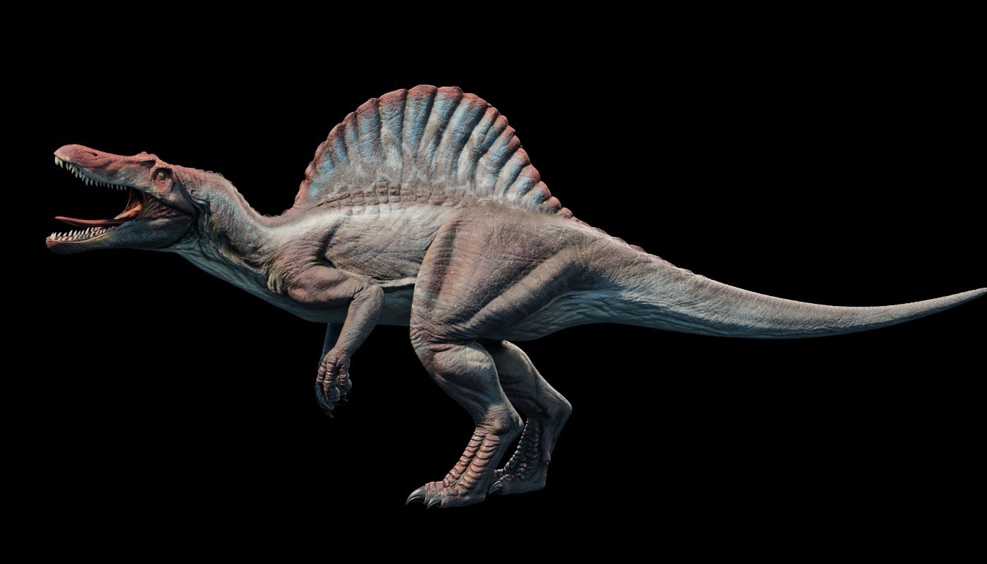 spinosaurus 3d model