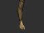 foot man human 3D model