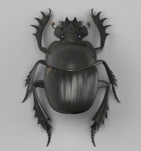 3D dung beetle model
