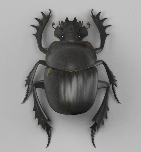 3d dung beetle model